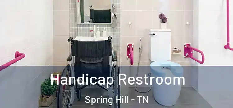  Handicap Restroom Spring Hill - TN