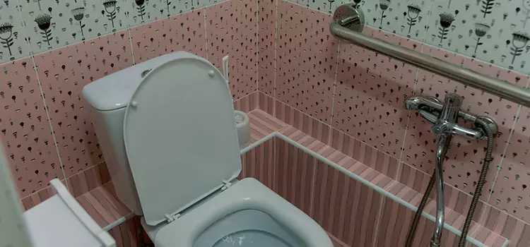 Meeting Diverse Needs With Accessible Restroom Solutions in Spring Hill, TN