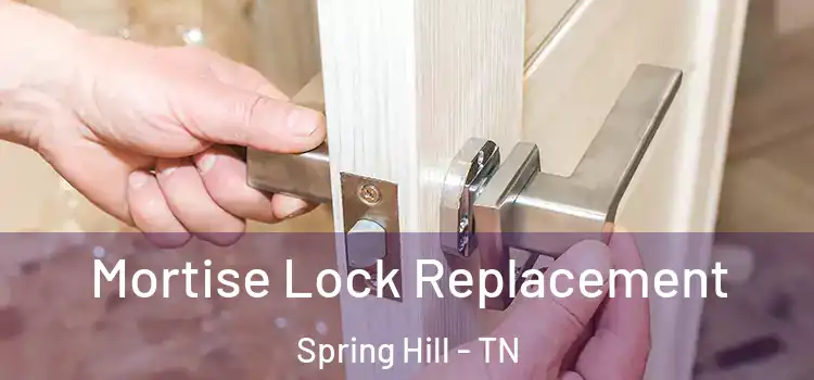 Mortise Lock Replacement Spring Hill - TN